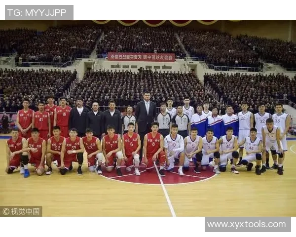 杭州羽毛球队在钻石联赛中的耐力表现分析与启示