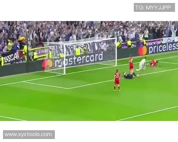 足球明星与宠物的温馨时刻：他们的生活与赛场之外的情感纽带